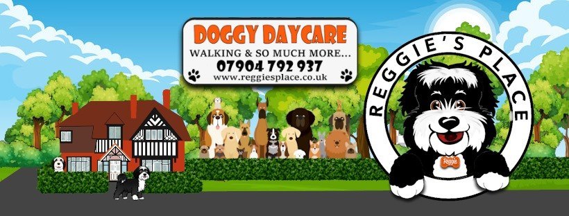 Illustrated Reggie's Place banner with cartoon dogs, a green field and the Reggie's Place logo