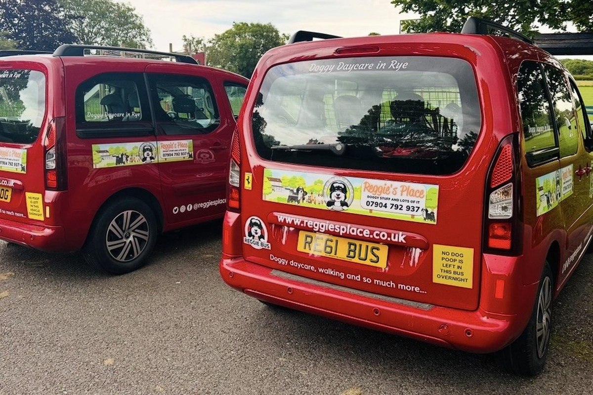 Two red Reggie Bus vans beside a grassy park, rear windows reading Doggy Daycare in Rye