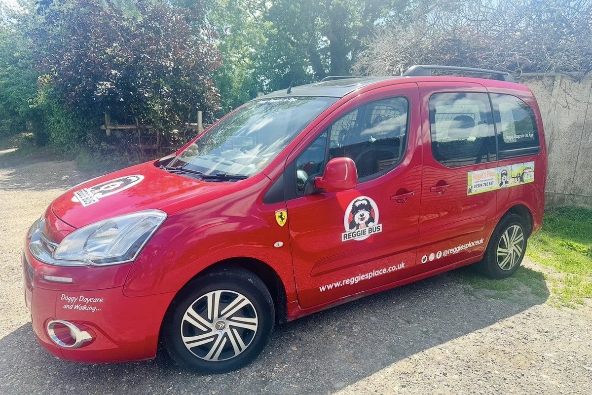 One of the red Reggie Bus vans from the side, showing the livery