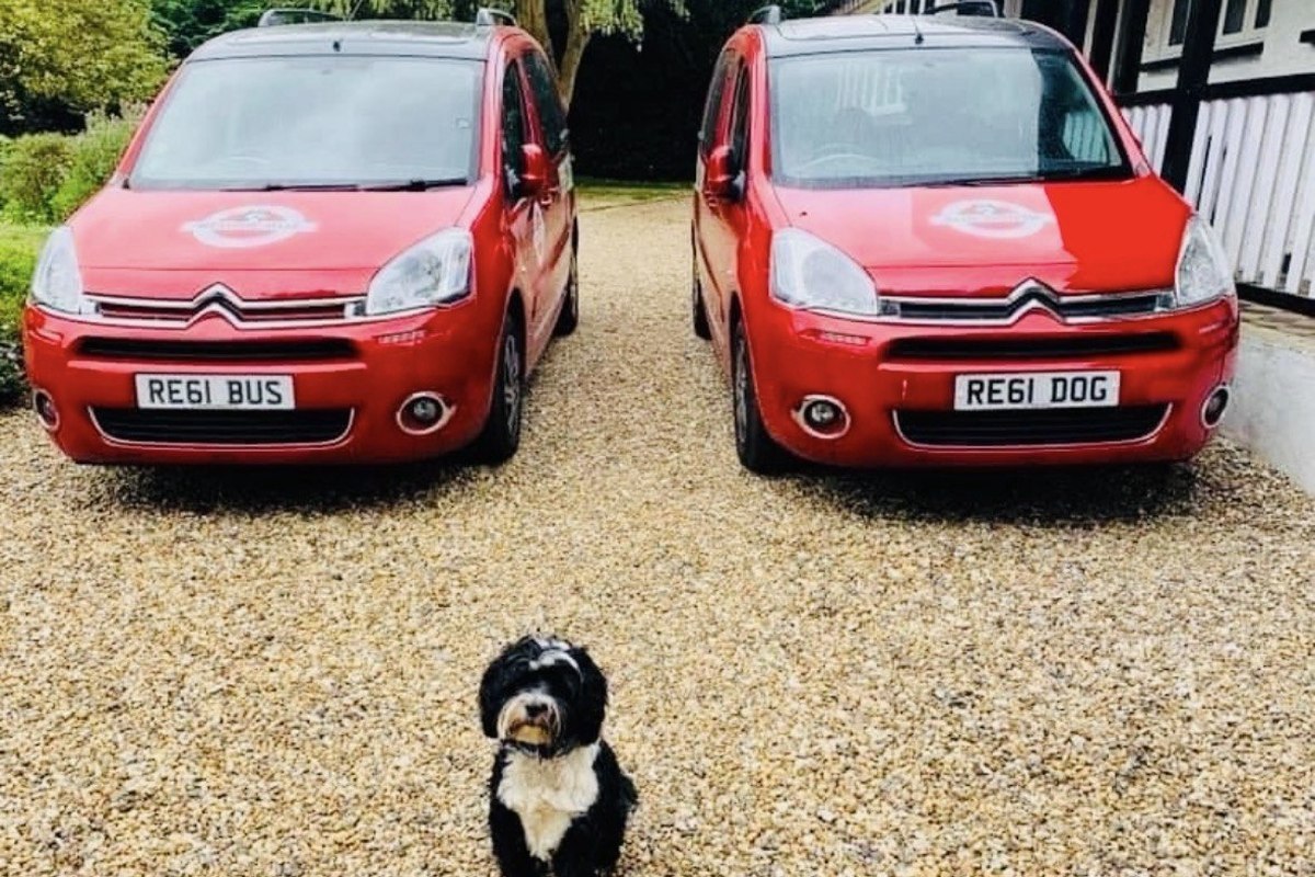 Reggie, a small black and white dog, sitting in front of the two red Reggie Bus vans
